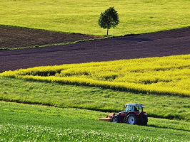 Placement : 5 bonnes raisons d'investir dans les terres agricoles